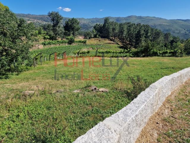 Terreno venda em Resende, Viseu