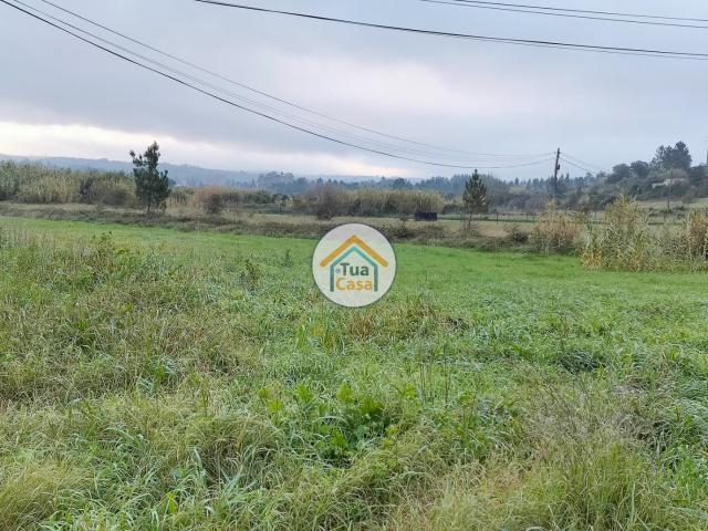 Terreno venda em Anadia, Aveiro
