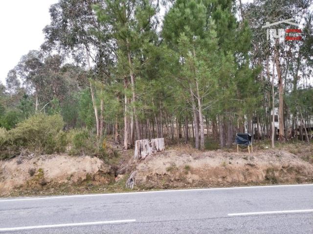 Terreno venda em Ourém, Santarém