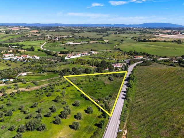 Armazém venda em Santarém
