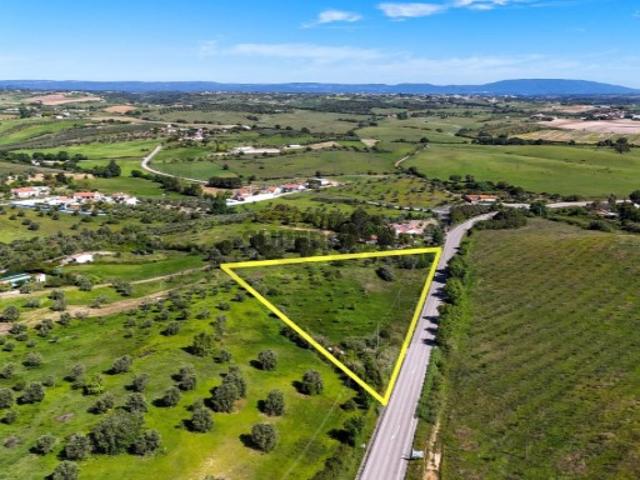 Armazém venda em Santarém