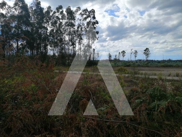 Terreno venda em Águeda, Aveiro