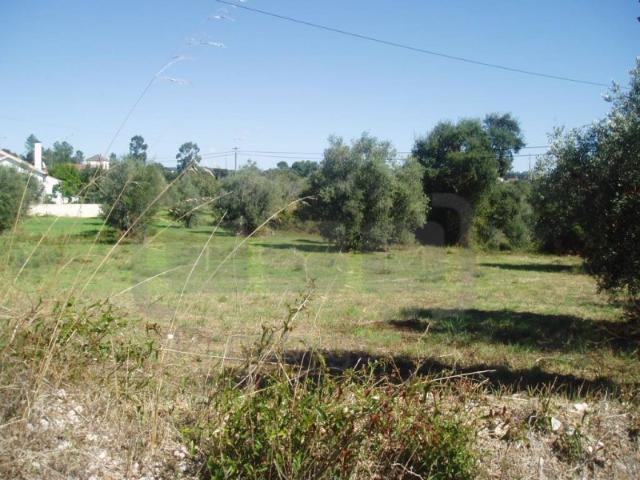 Terreno venda em Soianda, Tomar