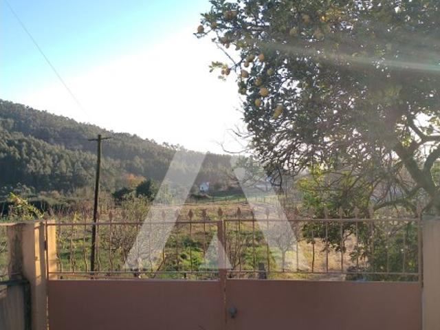 Terreno venda em Viana Do Castelo