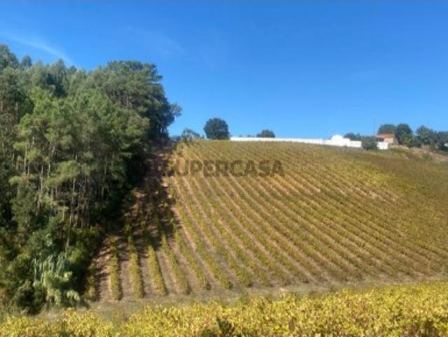 Terreno venda em Caldas Da Rainha, Leiria