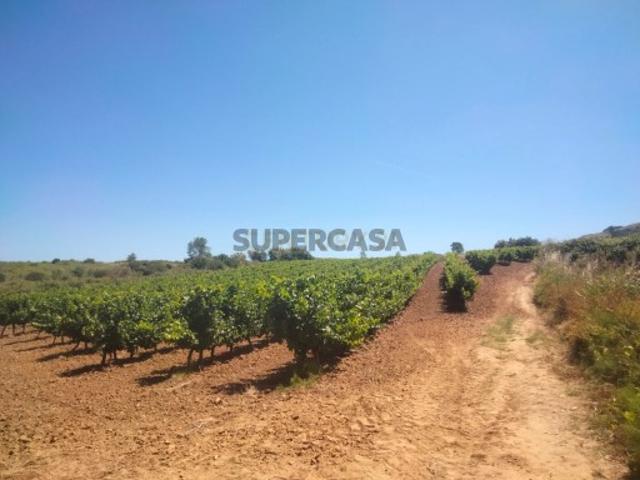 Terreno venda em Dois Portos, Torres Vedras