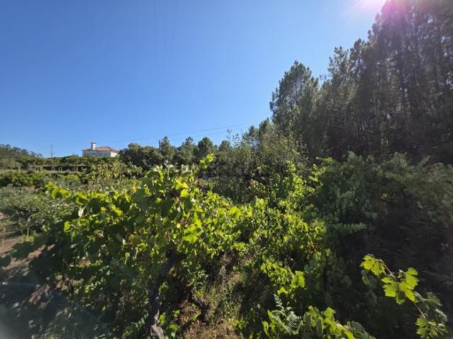Terreno venda em Tomar, Santarém