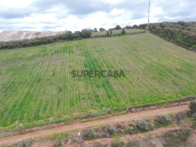 Terreno venda em Borba, Évora