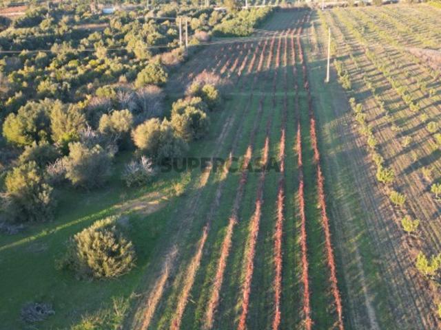 Terreno venda em Alvaledes, Faro