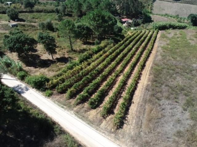 Terreno venda em Torres Vedras, Lisboa