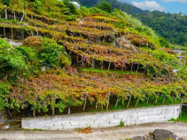 Terreno venda em São Vicente, Ilha Da Madeira