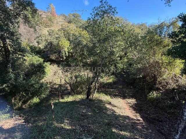 Terreno venda em Porto Nobre, Loulé