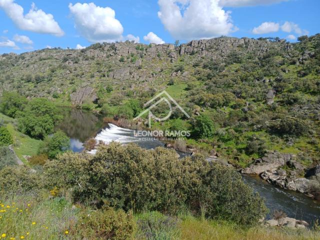 Terreno venda em Castelo Branco, Idanha-a-nova