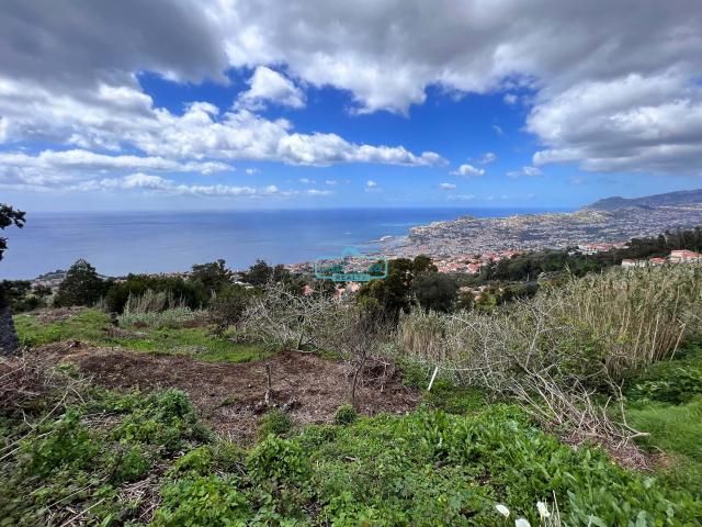 Terreno venda em São João de Latrão, Funchal