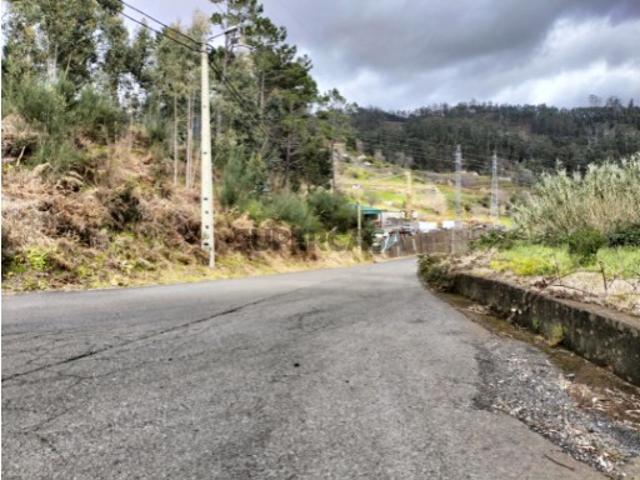 Terreno venda em Ponta Do Sol, Ilha Da Madeira