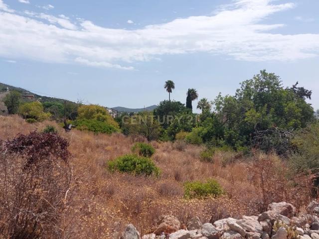 Terreno venda em Alfarrobeira, Loulé