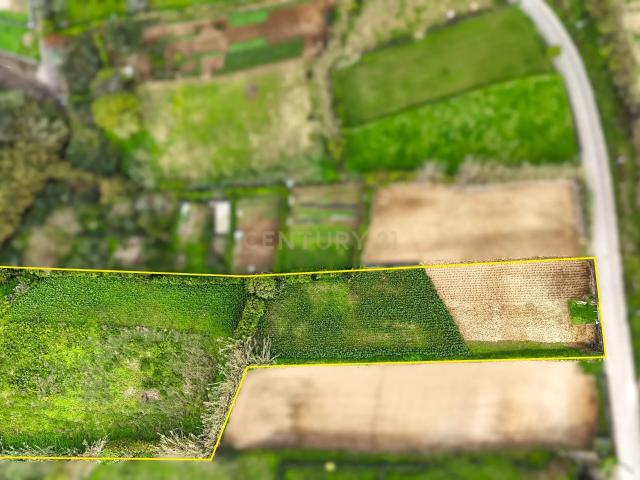 Terreno venda em Açores, Ribeira Grande