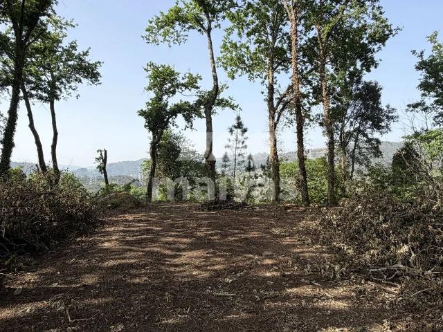 Terreno venda em Grovelas São João Evangelista, Viana Do Castelo