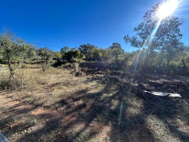 Terreno venda em Loulé, Faro