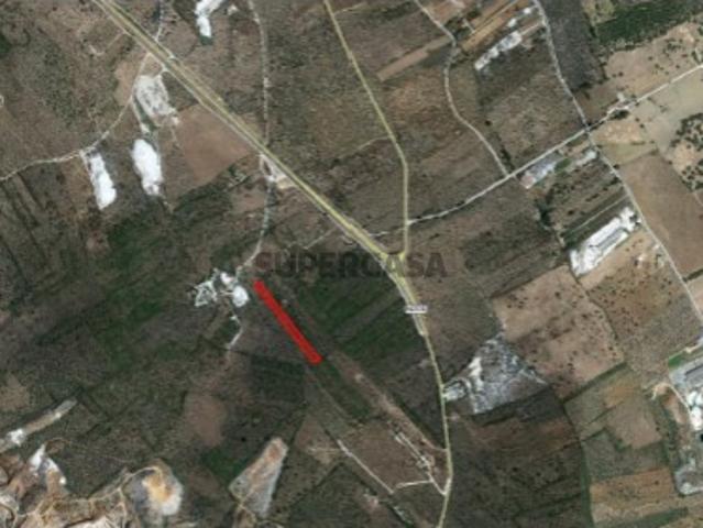 Terreno venda em Vila Viçosa Terreno venda em Vila Viçosa