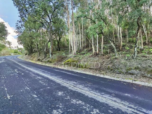 Terreno venda em Santarém