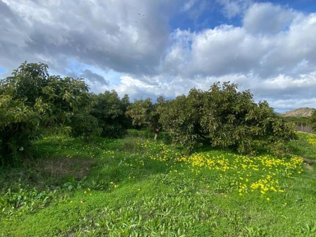 Terreno en venta en Valle del Guadalhorce, Andalucía