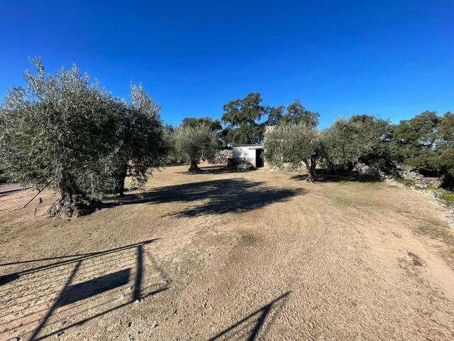 Terreno en venta en Montánchez, Extremadura