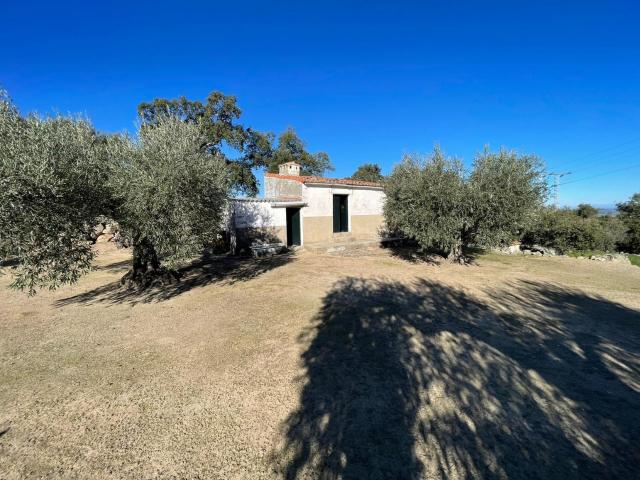 Terreno en venta en Montánchez, Extremadura