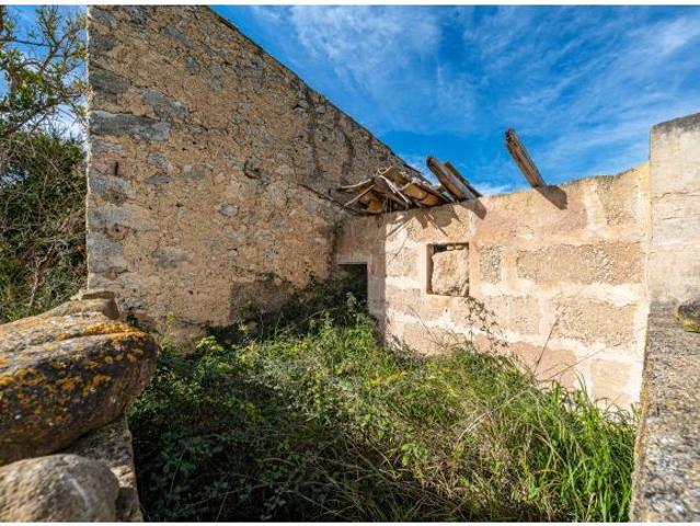 Local Comercial en venta en Pla de Mallorca, Baleares