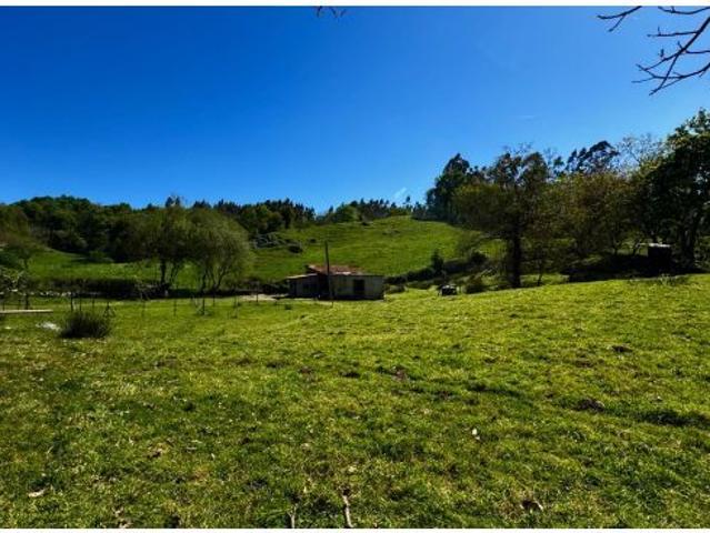 Local Comercial en venta en Roiz, Valdáliga