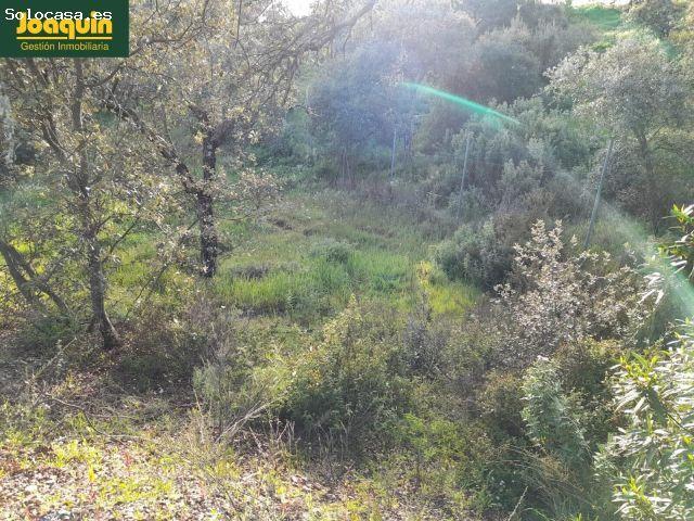 Local Comercial en venta en Obejo, Andalucía
