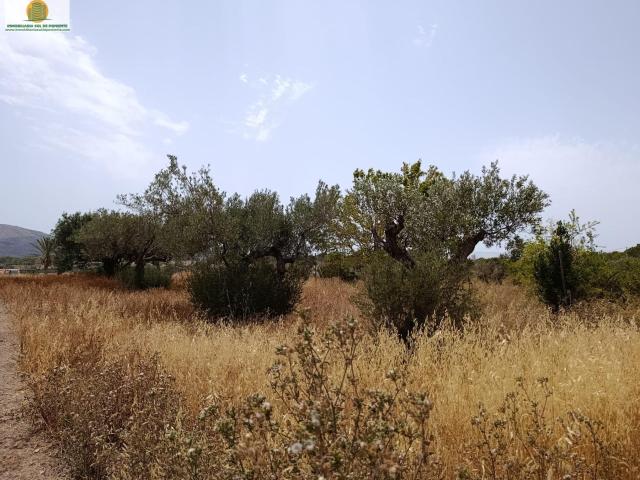 Terreno en venta en Devesa, la Marina Baixa
