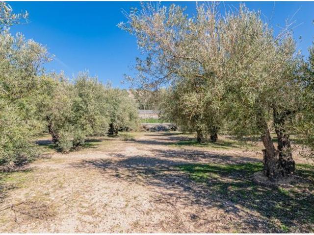 Local Comercial en venta en Comarca de Los Montes, Andalucía