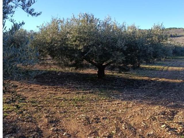 Local Comercial en venta en Noroeste, Murcia