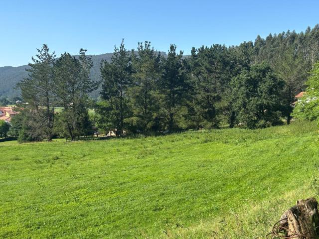 Casa en venta en Pomaluengo, Castañeda