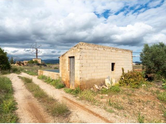 Local Comercial en venta en Pla de Mallorca, Baleares