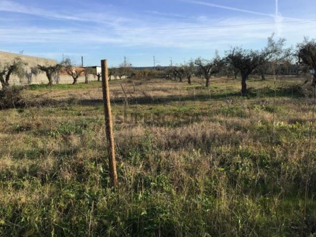 Terreno venda em Abrantes, Santarém