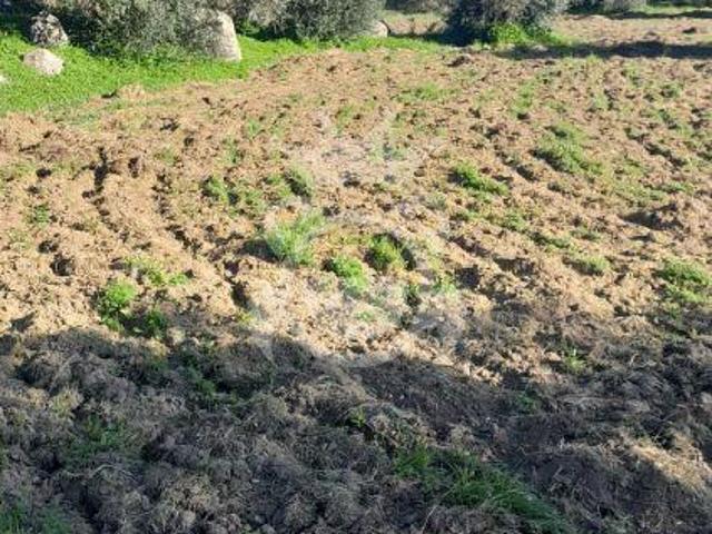 Terreno venda em Reguengos De Monsaraz, Évora