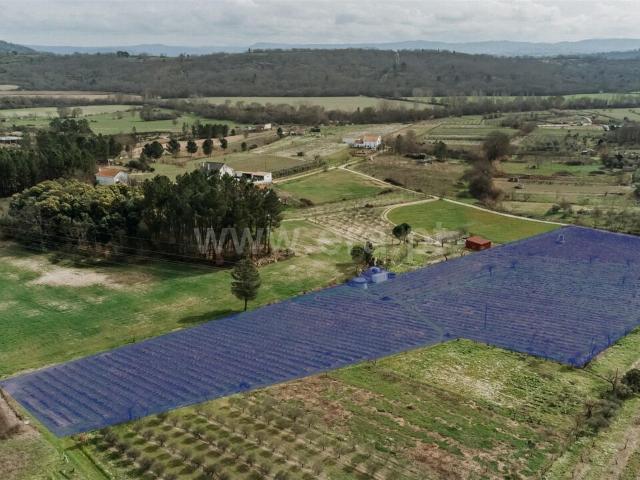 Terreno venda em Castelo Branco, Orjais