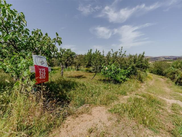 Terreno venda em Castelo Branco