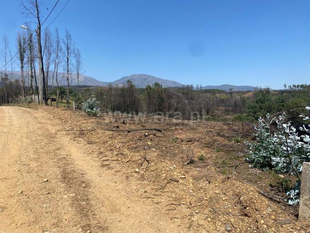 Terreno venda em Castelo Branco