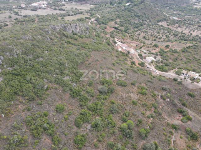 Terreno venda em São Bartolomeu De Messines, Faro