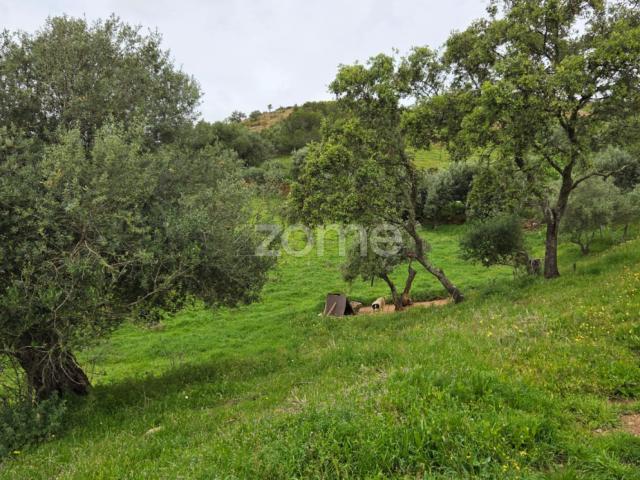 Terreno venda em Ourique, Beja