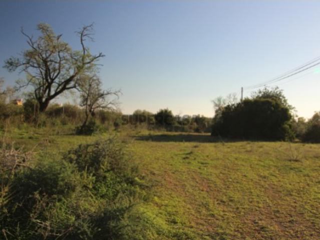 Terreno venda em Olhão, Faro