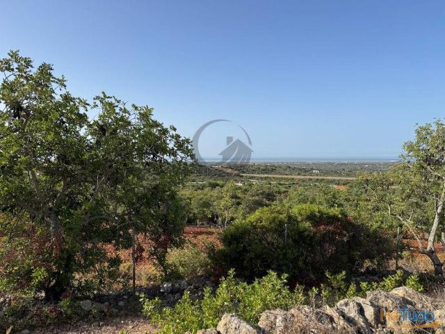 Terreno venda em Faro