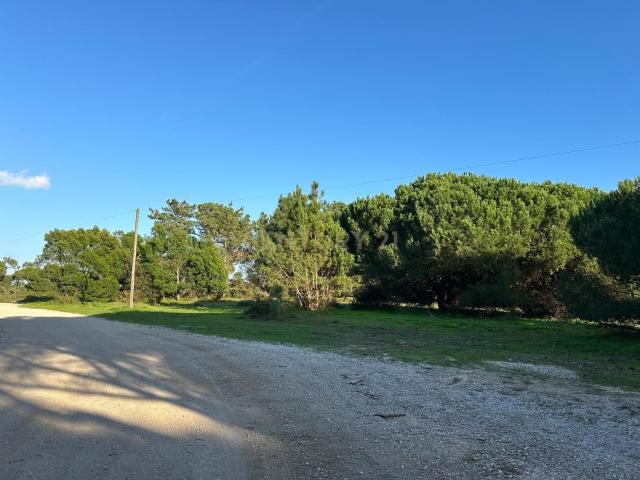 Terreno venda em Sesimbra (Castelo), Sesimbra