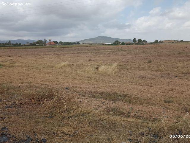 Local Comercial en venta en Raiguero Bajo, Bajo Guadalentín