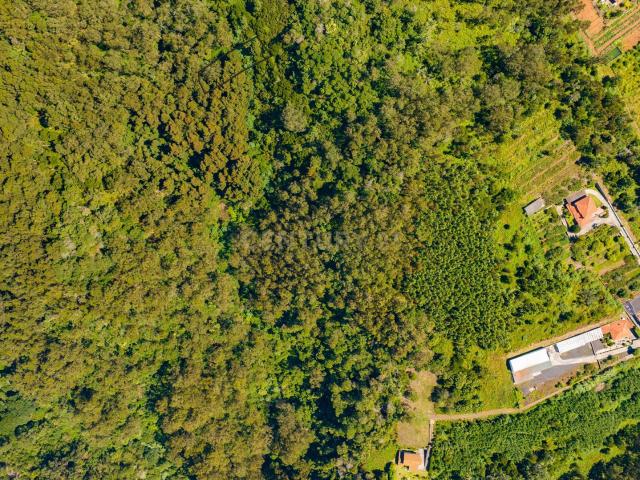 Terreno venda em Santa Cruz