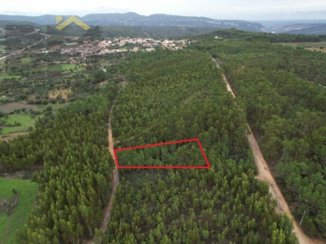 Terreno venda em Castelo Branco, Vila Velha De Ródão