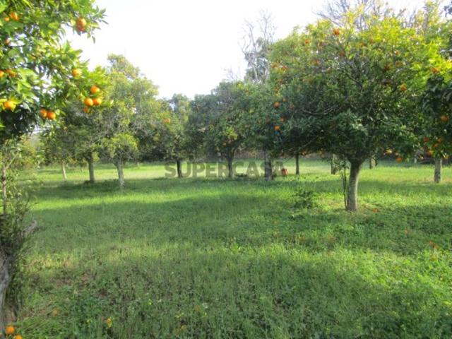Terreno venda em Castro Marim, Faro